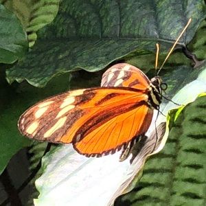 Meet your Posher, Marit